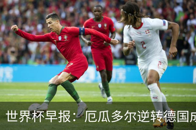 世界杯早报：厄瓜多尔逆转德国成功出线 科特迪瓦队史首次出线